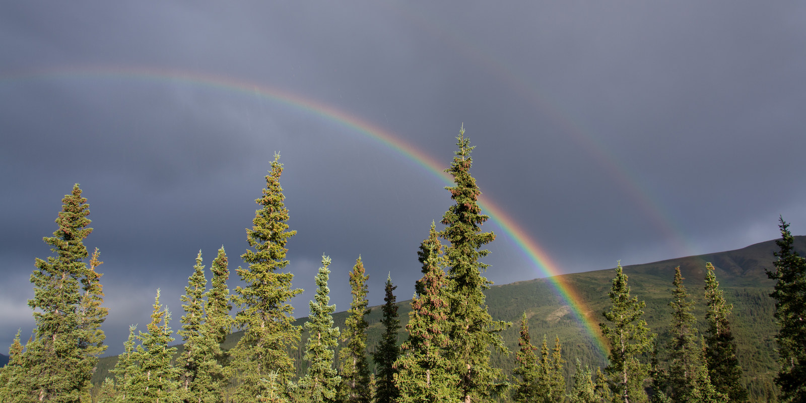 Doble arcoíris sobre un bosque y las montañas de Denali National Park