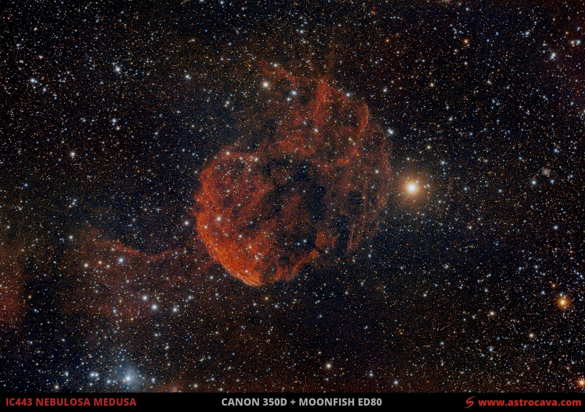 La nebulosa «Medusa» (IC443) en Géminis
