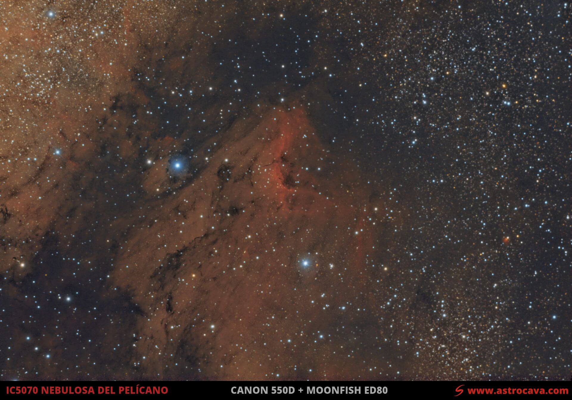 IC5070-La Nebulosa del Pelícano