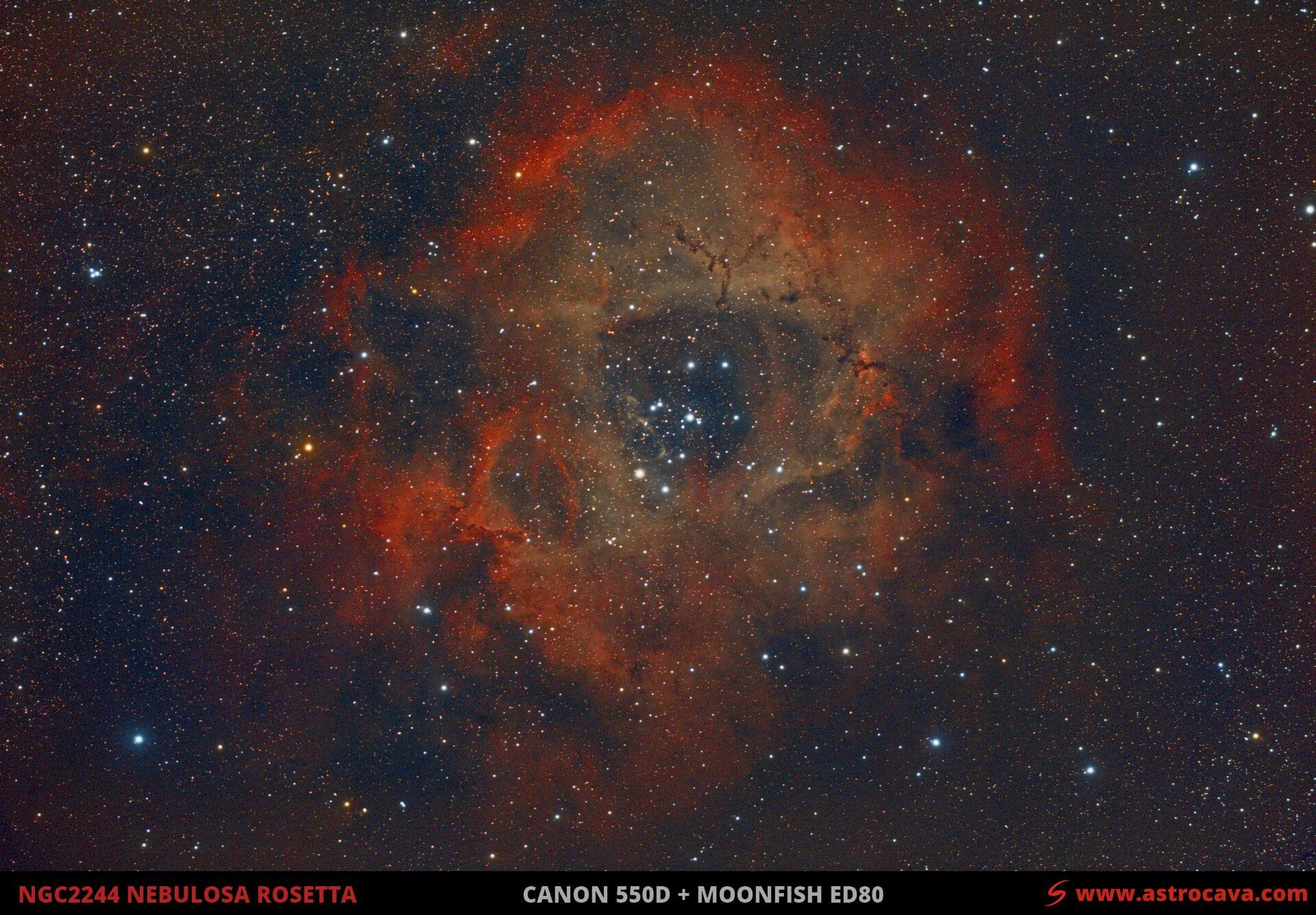La nebulosa Roseta - NGC2244